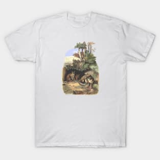 Foxes family in the forest T-Shirt